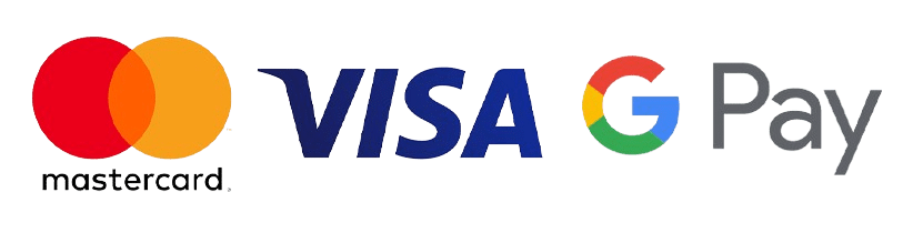 visa payment